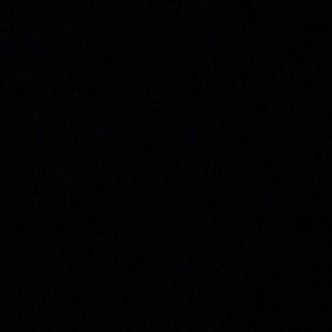 Meet your Posher, Shelley